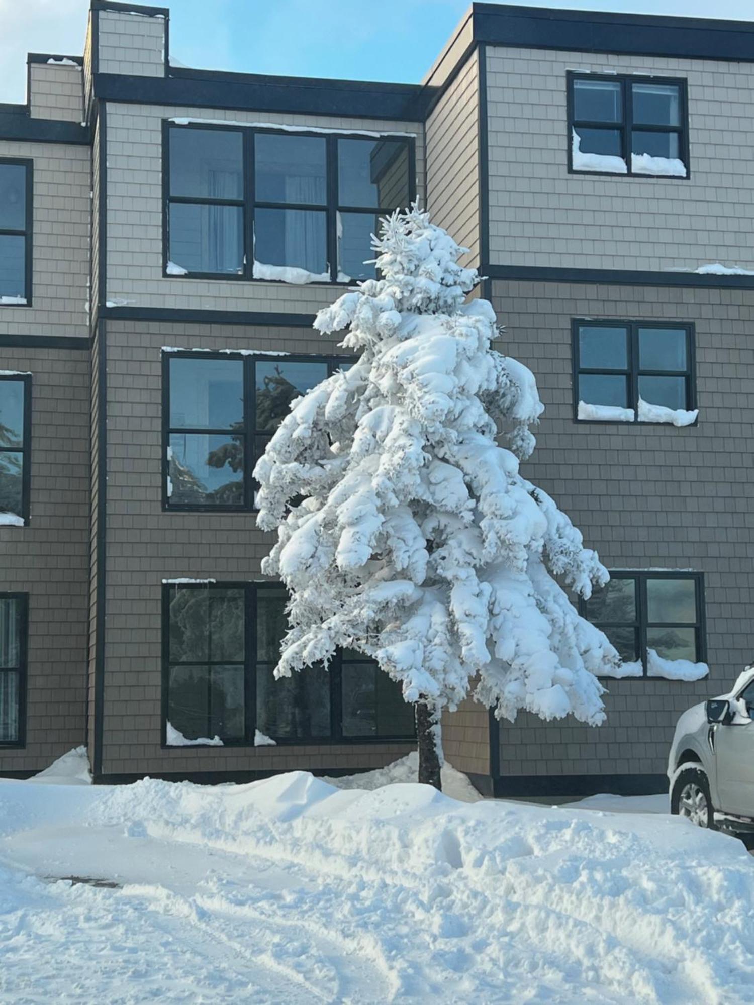 Snowcrest Condo Walking Distance To Slopes 스노우슈 외부 사진